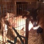 Fotografia-encabeza-peticion-APADAT-changeorg_EDIIMA20151128_0102_18
