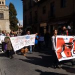 Un domingo de carnaval contra el maltrato animal en Toledo