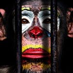 El PP retira su moción para declarar Talavera como ciudad libre de circos con animales