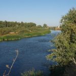 rio-Tajo-paso-Talavera-MAGRAMA_EDIIMA20151029_0507_5