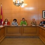 pleno seseña