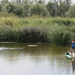 Un congreso abordará la situación del agua en la provincia de Toledo