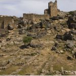 Vascos