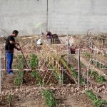 visita huertos urbanos 2