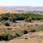 cauce-arroyo-salinas