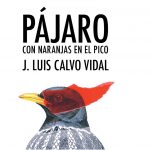 cubierta pajaro td