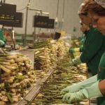 Toledo se suma a un proyecto europeo para mujeres emprendedoras