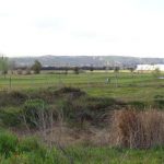 Palomarejos-Golf_EDIIMA20170322_0870_19