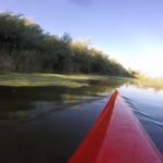 LISTADO