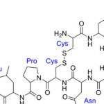Estructura-quimica-oxitocina-Science_EDIIMA20171222_0871_19
