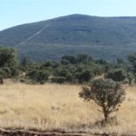 Piden paralizar un cerramiento cinegético en el espacio protegido de los Montes de Toledo