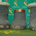 Incautados tres patas y un colmillo de elefante en Toledo