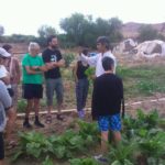 GRUPO CONSUMO CARACOLES