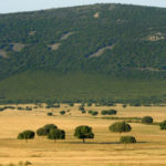 Parque-Nacional-Cabaneros_EDIIMA20161123_0209_21