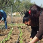 Proyecto-inclusion-social-Cultivando-Capacidades_EDIIMA20180314_0128_19