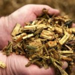 Al menos siete personas intoxicadas por inhalación de humo en Los Navalmorales