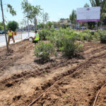 El "pequeño pulmón verde" en el toledano barrio de Santa Bárbara