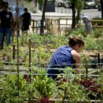 Huerto_EDIIMA20180620_0873_1[1]