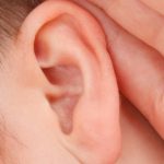close-up-18753_960_720