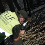 Incendios-forestales_EDIIMA20180727_0246_1[1]