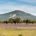 Estas son las actividades gratuitas en noviembre y diciembre para disfrutar de los espacios naturales de la región