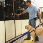 Perro-asistencia_EDIIMA20180801_0345_19