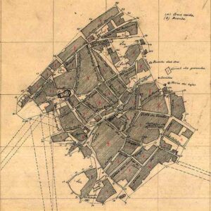 Cebolla: un desastre tan previsible como evitable