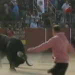 YUNCOS TORO