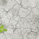 climate-change-1325882_1280