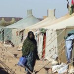 delegacion-GUE-campamentos-refugiados-saharauis_EDIIMA20151010_0146_20