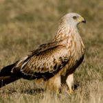 F134_Foto_03
