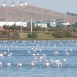 Las desconocidas lagunas de La Mancha, un “oasis” en medio de una región cada vez más seca