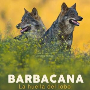 'Barbacana, la huella del lobo', del talaverano Arturo Menor, obtiene 9 candidaturas a los Premios Goya