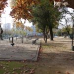 fotonoticia_20181211093407_1920