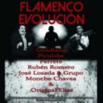 flamencorevolucionweb.-w175-h175-p0-q85-F-----S1-ctrue (1)
