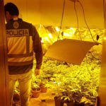 TALAVERA marihuana chalet 1016 (1)