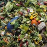 Desperdicio-alimentos_EDIIMA20181029_0618_20