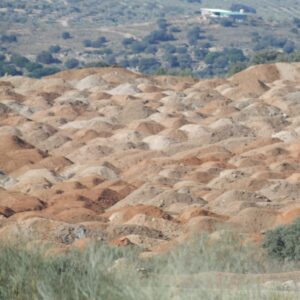 Puy du Fou da ’limosnas verdes’ en Francia para lavar sus tropelías ecológicas en España
