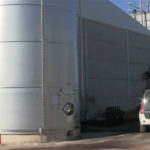 Foto archivo aceituna