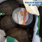 fotonoticia_20190320123809_1920 (1)