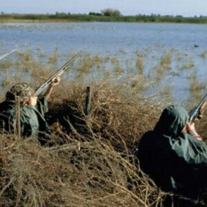 La Fundación Franz Weber pide más exámenes y prohibir el consumo de alcohol tras la muerte de un cazador en Toledo