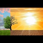 climate-change-2063240_1280