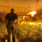 marihuana guardia civil