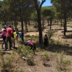 Internos de las cárceles de Ocaña participan en una limpieza de la Sierra de Madridejos