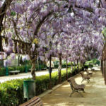 parque-de-la-vega-pueblos-de-espana