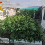 Guadamur marihuana guardia civil