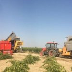 CCOO-Asaja-vendimia-provincias-C-LM_EDIIMA20190826_0043_4