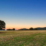 parque-nacional-cabaneros-portada