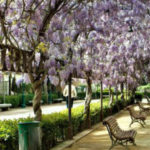Parque-Vega-Toledo_EDIIMA20190913_0745_19 (1)