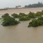 TEMPORAL TOLEDO